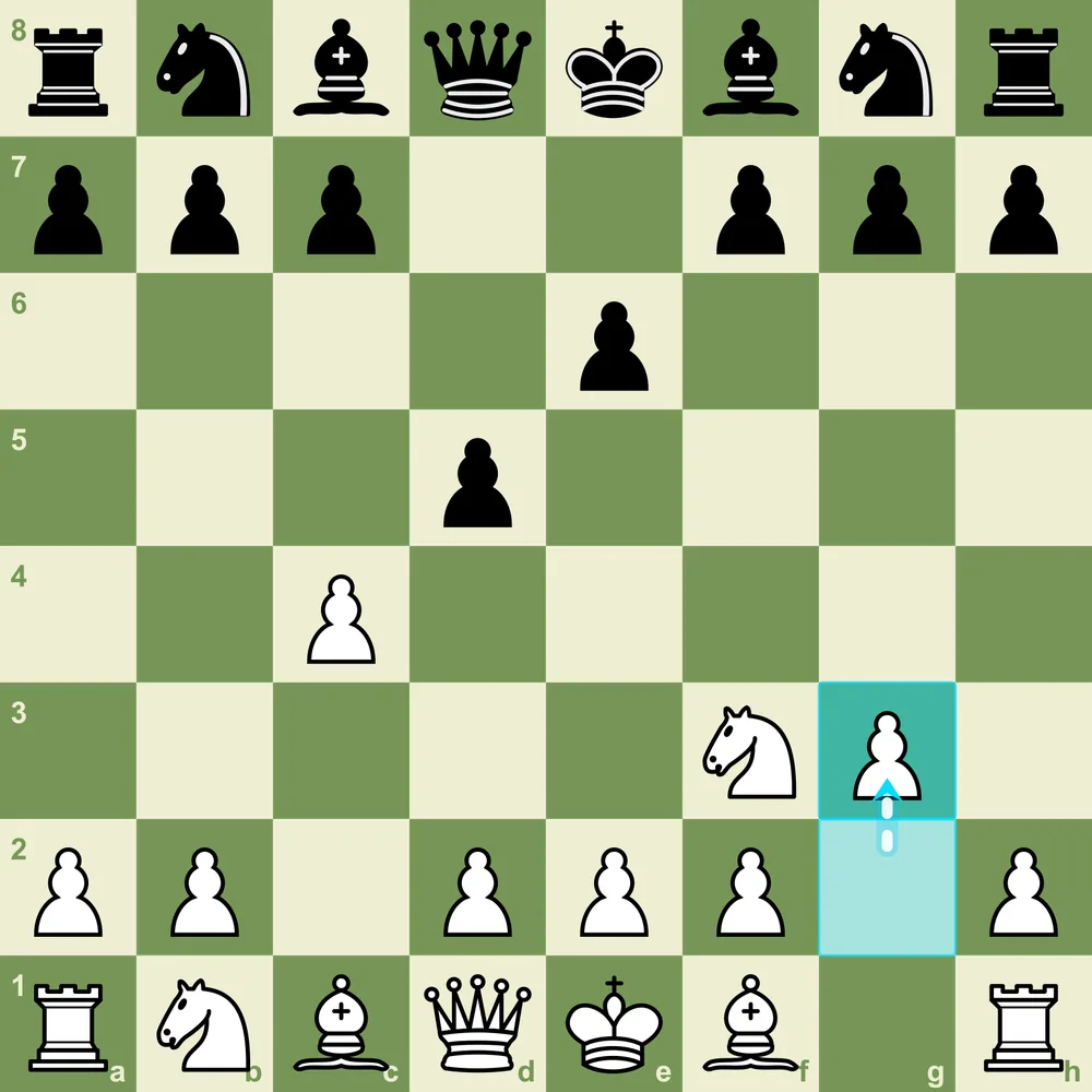 The e6 Fianchetto Setup - White prepares Bg2 for classic Reti and Catalan structures Reti Opening e6 fianchetto setup after 1.Nf3 d5 2.c4 e6 3.g3